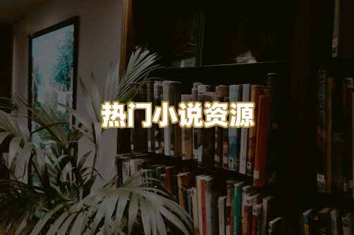 热门小说资源
